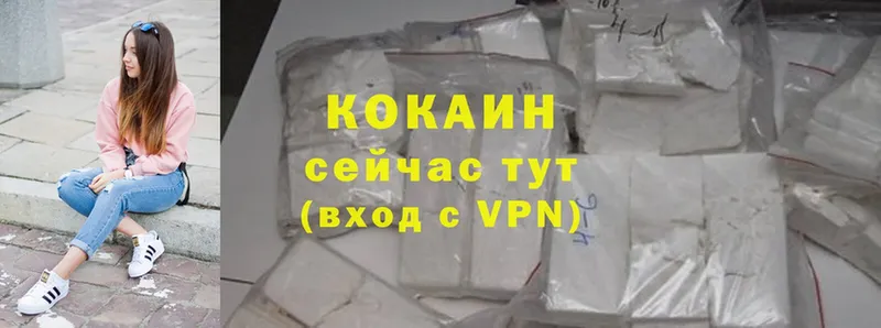 Cocaine Fish Scale  ОМГ ОМГ зеркало  Болгар  где купить  